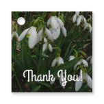Snowdrops I (Galanthus) White Spring Flowers Favor Tags
