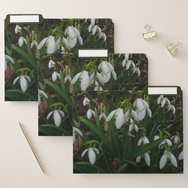 Snowdrops I (Galanthus) White Spring Flowers File Folder (Set)
