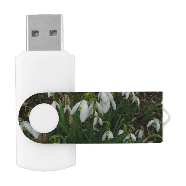Snowdrops I (Galanthus) White Spring Flowers Flash Drive (Opened)