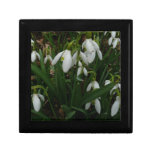 Snowdrops I (Galanthus) White Spring Flowers Gift Box
