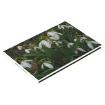 Snowdrops I (Galanthus) White Spring Flowers Guest Book