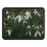 Snowdrops I (Galanthus) White Spring Flowers Hitch Cover