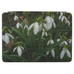 Snowdrops I (Galanthus) White Spring Flowers iPad Air Cover