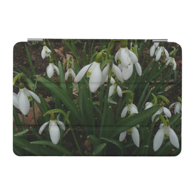 Snowdrops I (Galanthus) White Spring Flowers iPad Mini Cover (Horizontal)