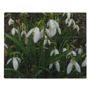 Snowdrops I (Galanthus) White Spring Flowers Jigsaw Puzzle