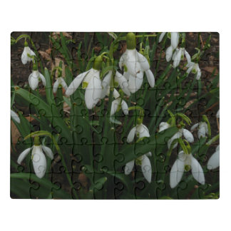 Snowdrops I (Galanthus) White Spring Flowers Jigsaw Puzzle