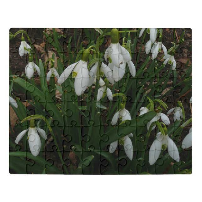 Snowdrops I (Galanthus) White Spring Flowers Jigsaw Puzzle (Puzzle Horizontal)