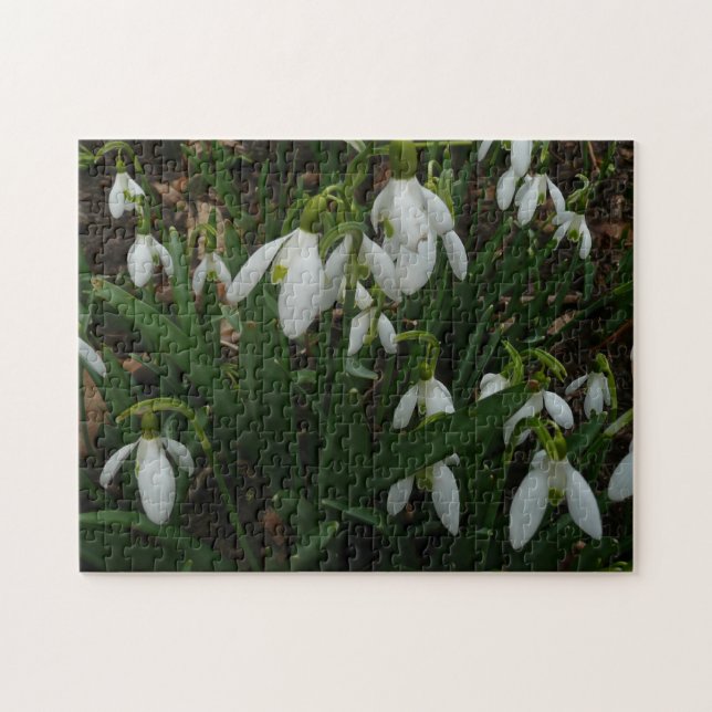 Snowdrops I (Galanthus) White Spring Flowers Jigsaw Puzzle (Horizontal)