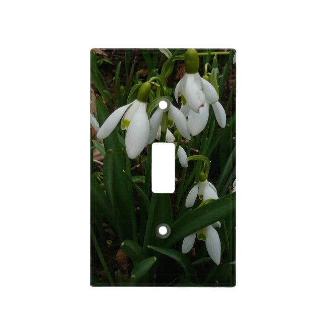 Snowdrops I (Galanthus) White Spring Flowers Light Switch Cover (Front)