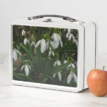 Snowdrops I (Galanthus) White Spring Flowers Metal Lunch Box