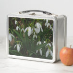 Snowdrops I (Galanthus) White Spring Flowers Metal Lunch Box