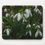 Snowdrops I (Galanthus) White Spring Flowers Mouse Pad