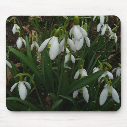 Snowdrops I Galanthus White Spring Flowers Mouse Pad