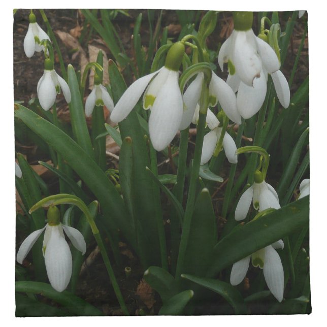 Snowdrops I (Galanthus) White Spring Flowers Napkin (Front)