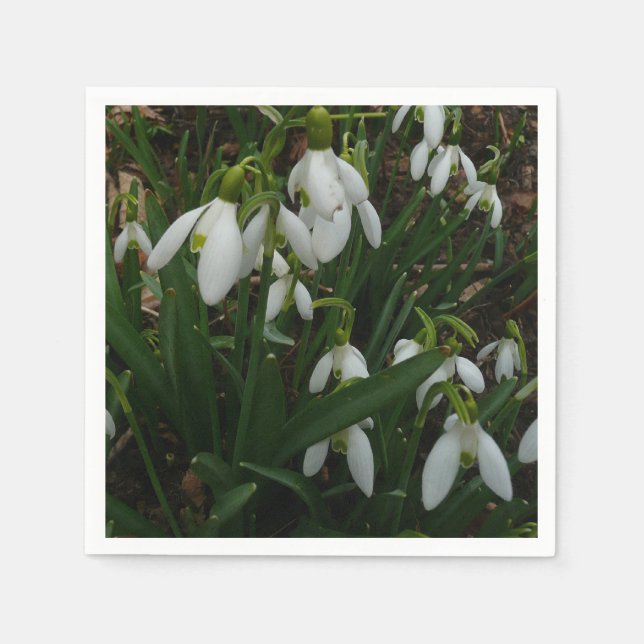 Snowdrops I (Galanthus) White Spring Flowers Napkins (Front)