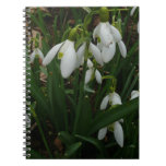 Snowdrops I (Galanthus) White Spring Flowers Notebook