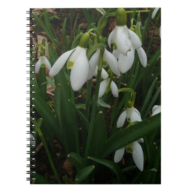 Snowdrops I (Galanthus) White Spring Flowers Notebook (Front)