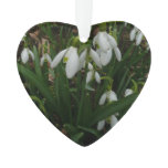 Snowdrops I (Galanthus) White Spring Flowers Ornament