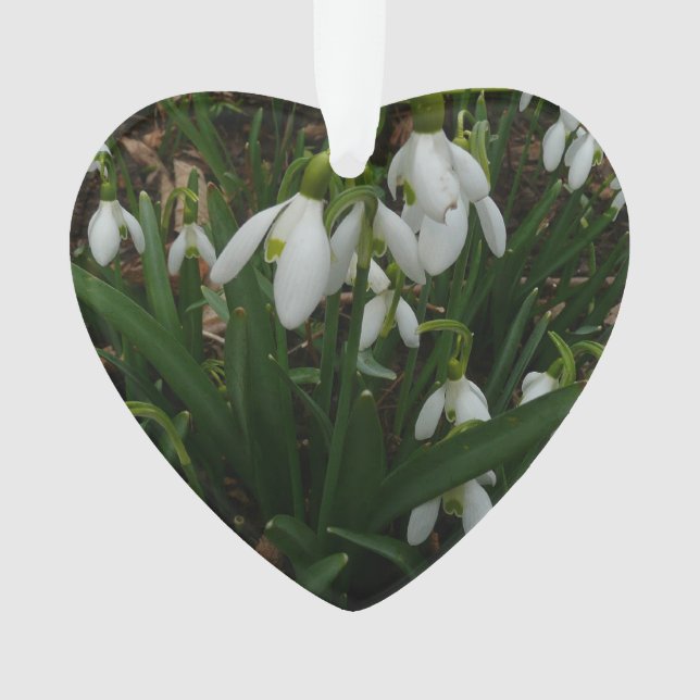 Snowdrops I (Galanthus) White Spring Flowers Ornament (Front)