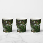Snowdrops I (Galanthus) White Spring Flowers Paper Cups