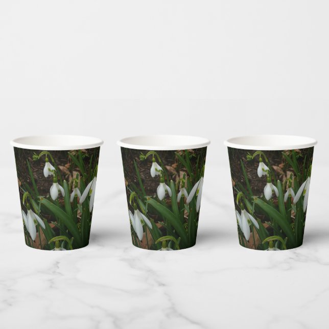 Snowdrops I (Galanthus) White Spring Flowers Paper Cups (Multi)