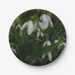Snowdrops I (Galanthus) White Spring Flowers Paper Plate