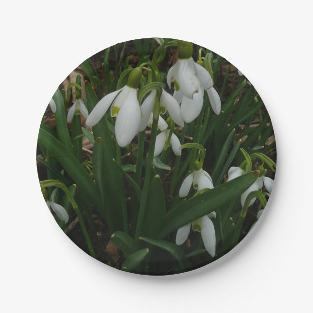 Snowdrops I (Galanthus) White Spring Flowers Paper Plates (Front)