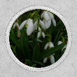 Snowdrops I (Galanthus) White Spring Flowers Patch
