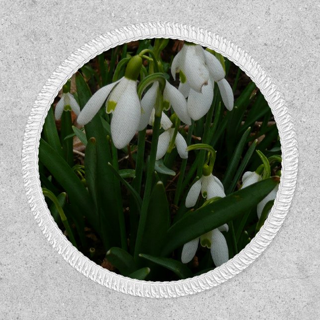 Snowdrops I (Galanthus) White Spring Flowers Patch (Front)