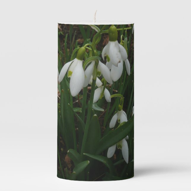 Snowdrops I (Galanthus) White Spring Flowers Pillar Candle (Front)