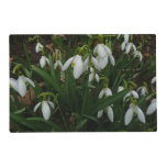 Snowdrops I (Galanthus) White Spring Flowers Placemat