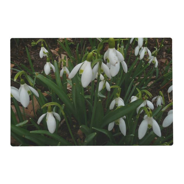 Snowdrops I (Galanthus) White Spring Flowers Placemat (Front)