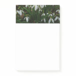 Snowdrops I (Galanthus) White Spring Flowers Post-it Notes