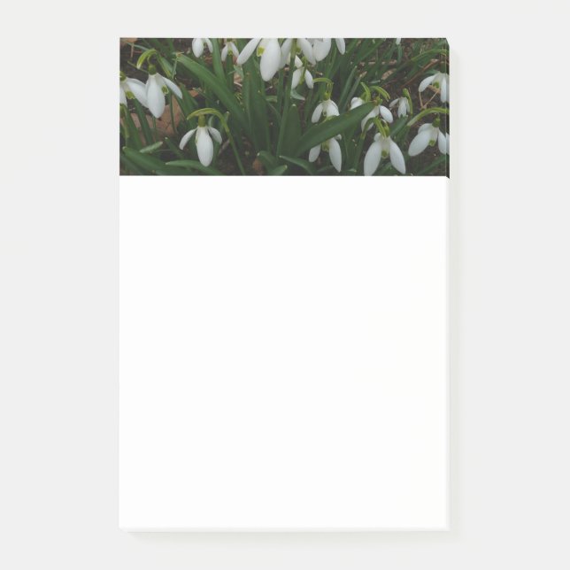 Snowdrops I (Galanthus) White Spring Flowers Post-it Notes (Front)