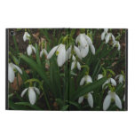 Snowdrops I (Galanthus) White Spring Flowers Powis iPad Air 2 Case