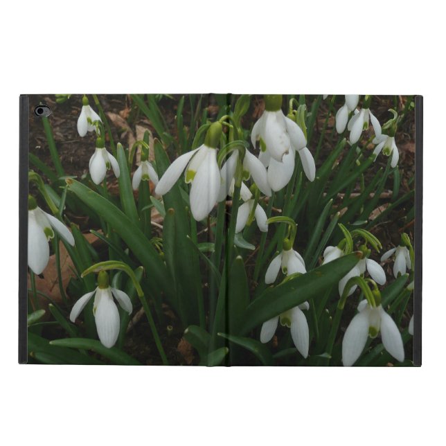 Snowdrops I (Galanthus) White Spring Flowers Powis iPad Air 2 Case (Outside)