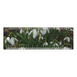 Snowdrops I (Galanthus) White Spring Flowers Ruler
