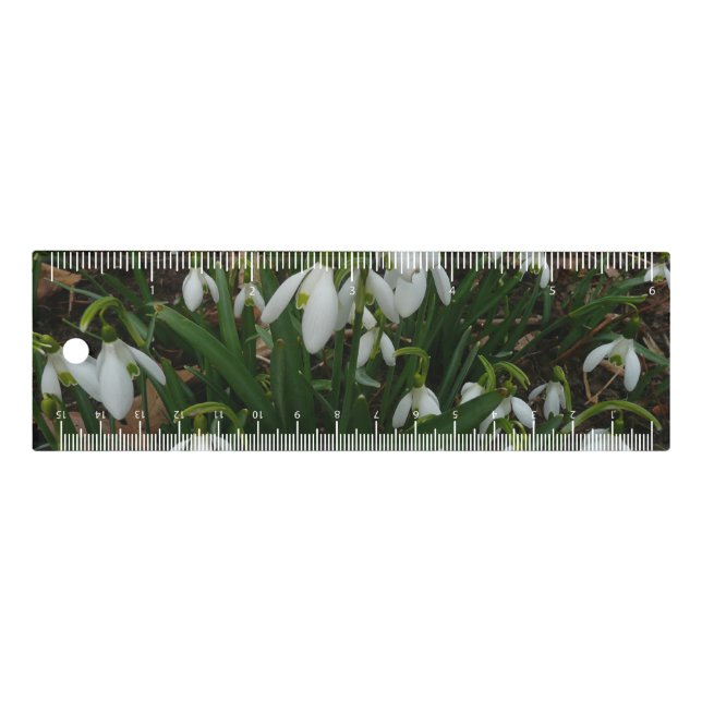 Snowdrops I (Galanthus) White Spring Flowers Ruler (Front)