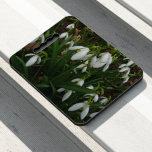 Snowdrops I (Galanthus) White Spring Flowers Seat Cushion
