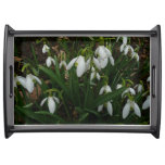 Snowdrops I (Galanthus) White Spring Flowers Serving Tray