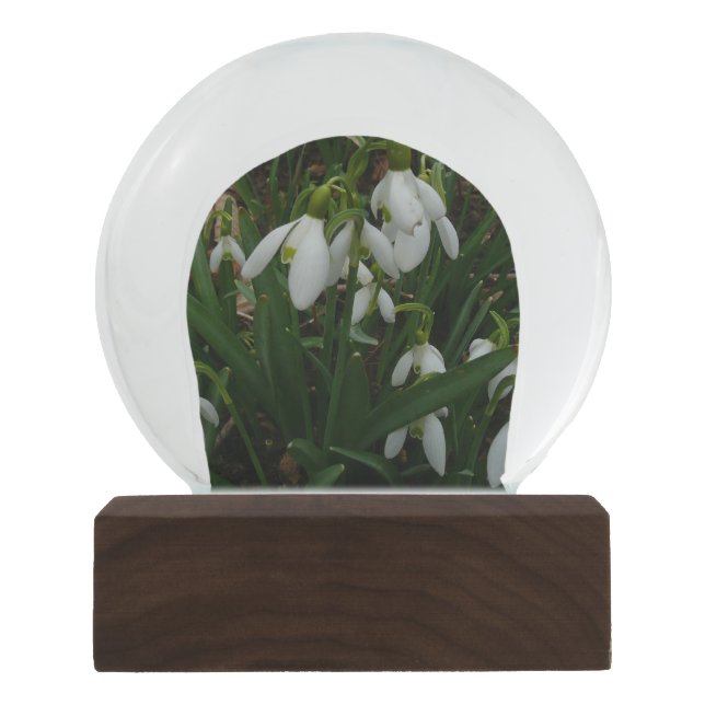 Snowdrops I (Galanthus) White Spring Flowers Snow Globe (Front)