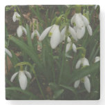 Snowdrops I (Galanthus) White Spring Flowers Stone Coaster