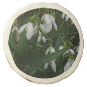 Snowdrops I (Galanthus) White Spring Flowers Sugar Cookie (Front)