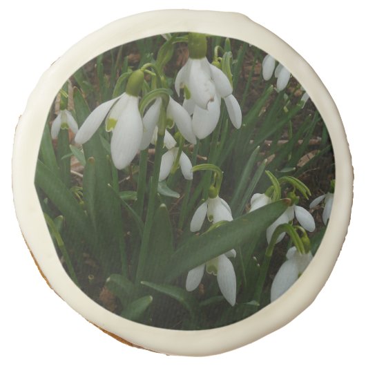 Snowdrops I (Galanthus) White Spring Flowers Sugar Cookie (Front)