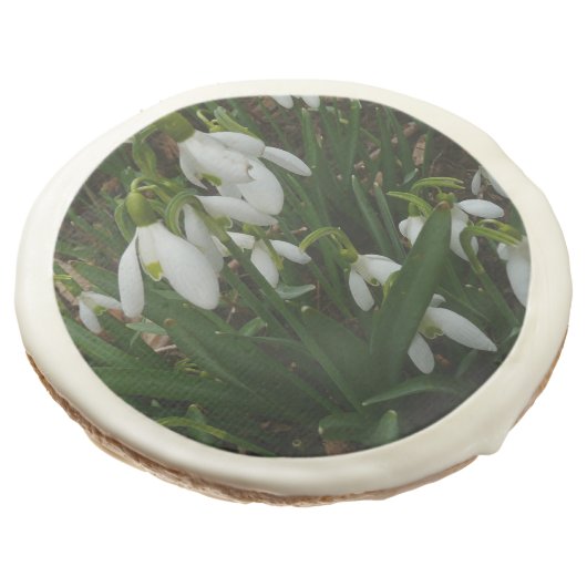 Snowdrops I (Galanthus) White Spring Flowers Sugar Cookie (Angled)