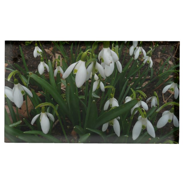 Snowdrops I (Galanthus) White Spring Flowers Table Number Holder (Front)