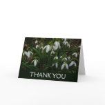 Snowdrops I (Galanthus) White Spring Flowers Thank You Card