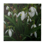 Snowdrops I (Galanthus) White Spring Flowers Tile