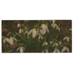 Snowdrops I (Galanthus) White Spring Flowers Wood Flash Drive