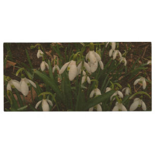 Snowdrops I (Galanthus) White Spring Flowers Wood Flash Drive